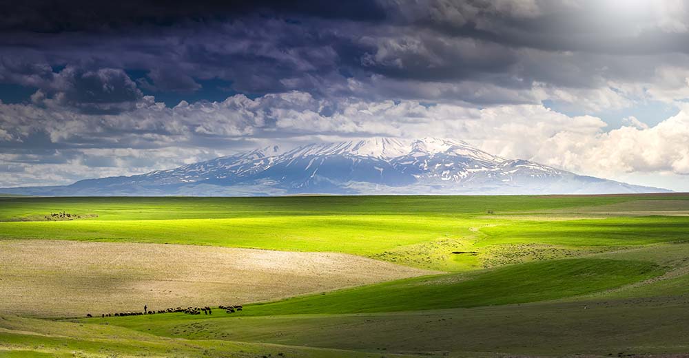 Ağrı
