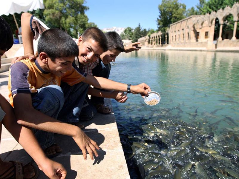 Şanlıurfa City Guide