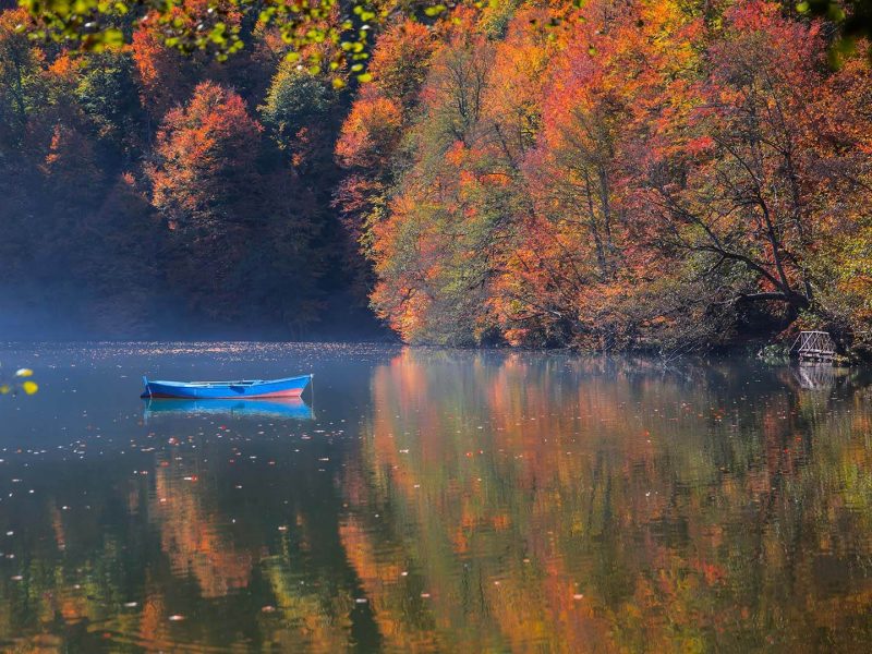Bolu City Guide