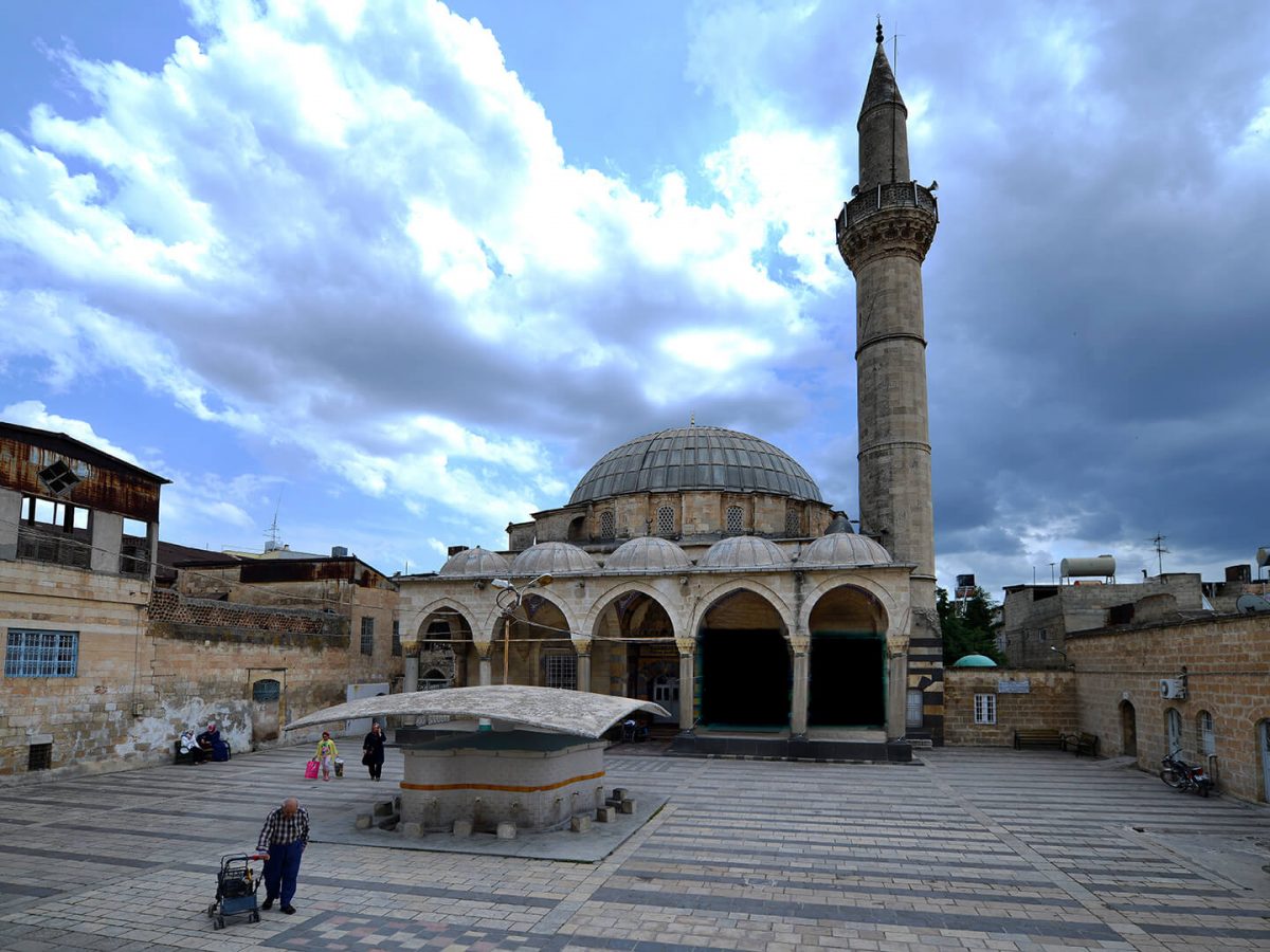 Ezan - Motley Turkey