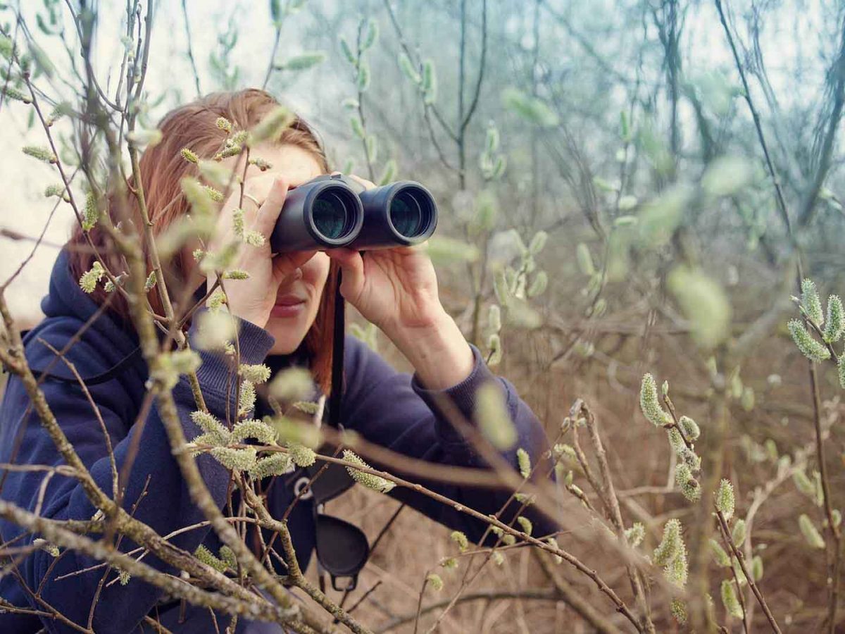 Birdwatching in Turkey