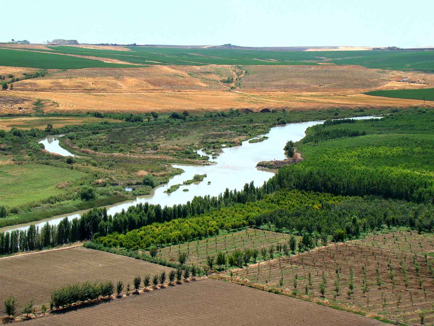 The Tale of Two Rivers: Euphrates and Tigris