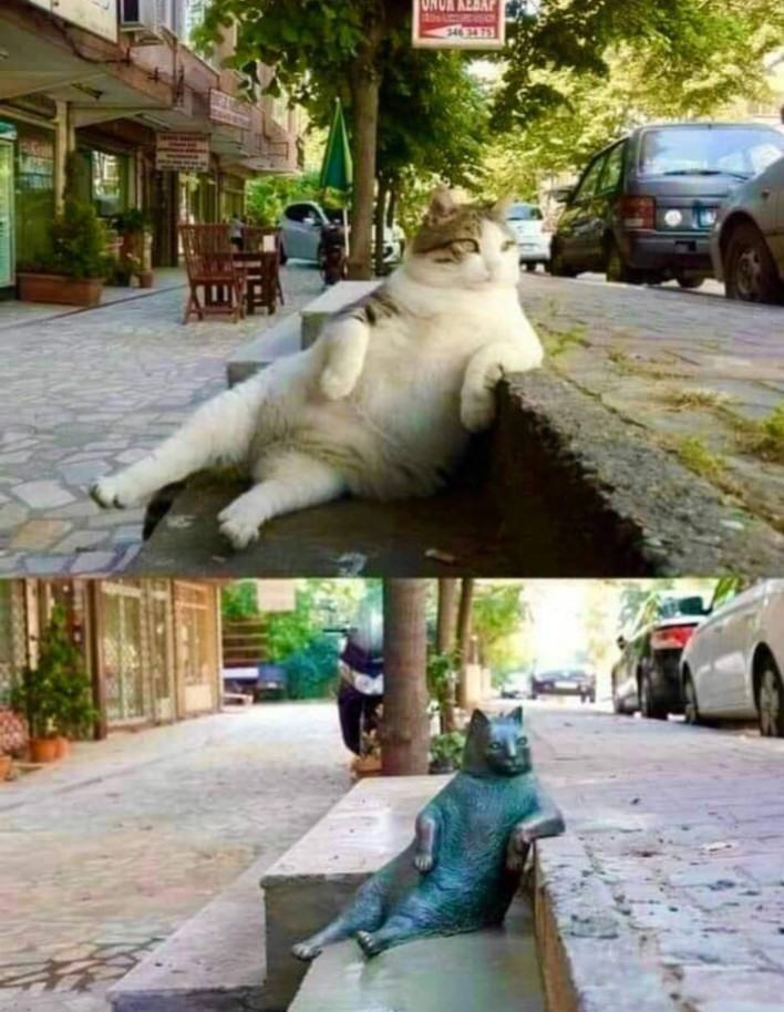 Tombili of Kadıköy, and its statue