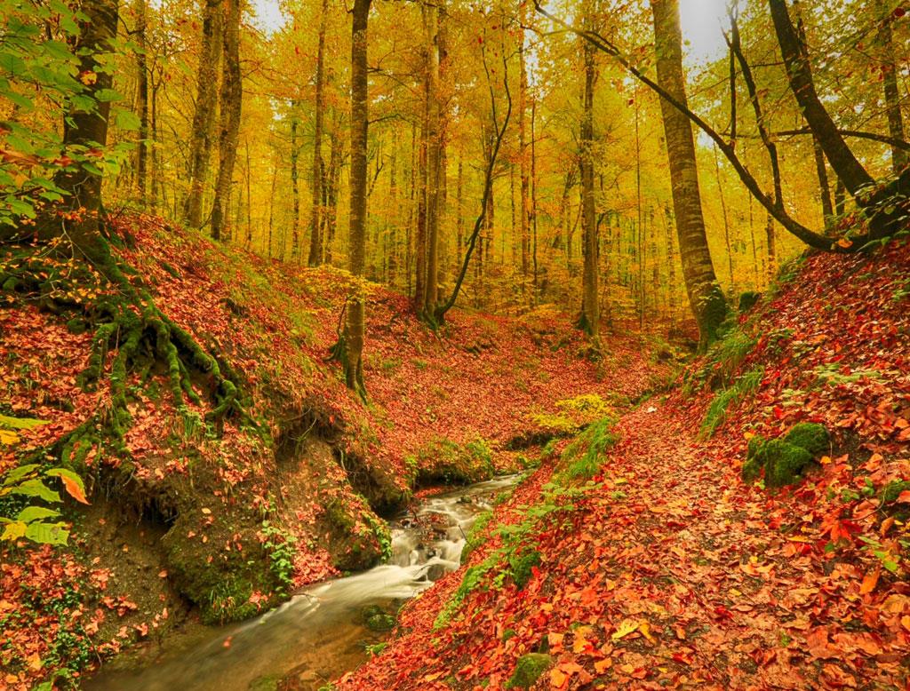Plenty of hiking routes in the National Park