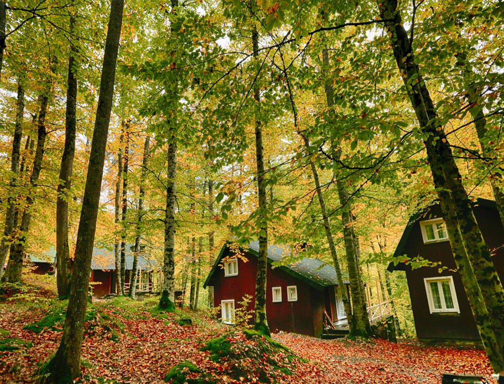 Local accommodation is available in Yedigöller