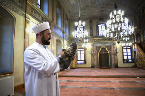Imam Mustafa Efe