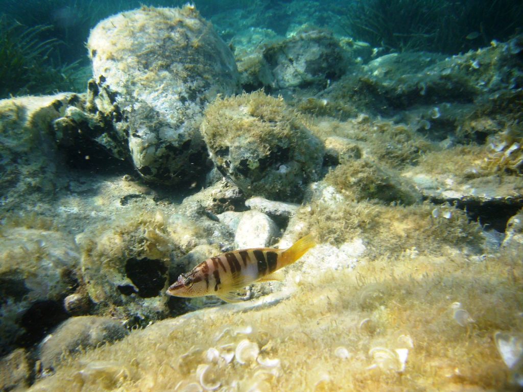 Gökçeada Underwater National Park