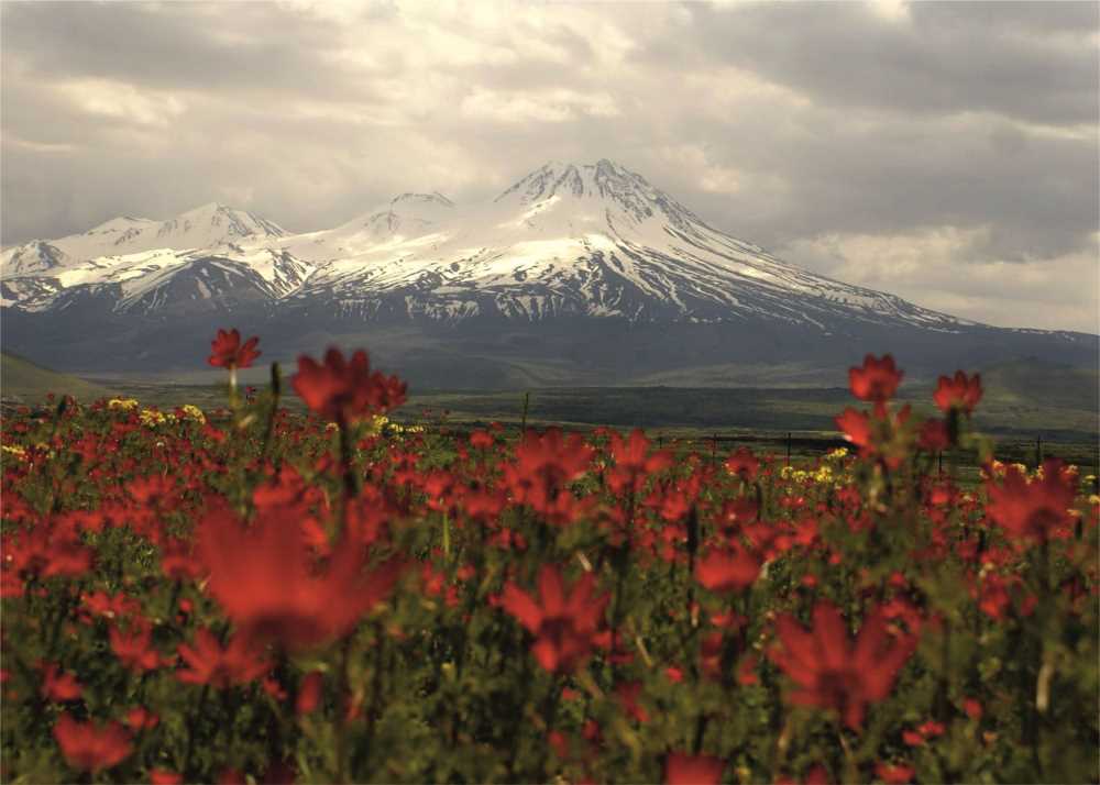 Mount Hasan from a distance