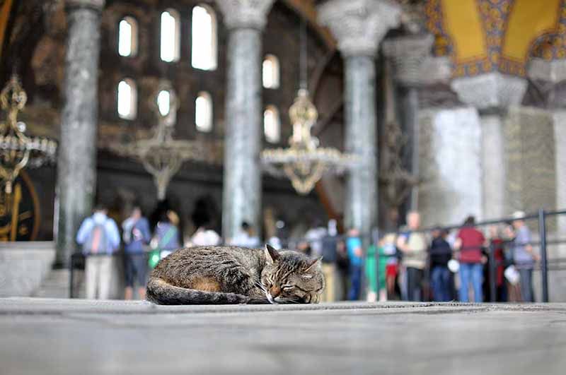 istanbul guide
